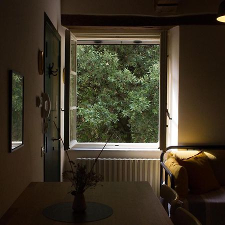 La Finestra Sul Parco Apartment Лука Екстериор снимка