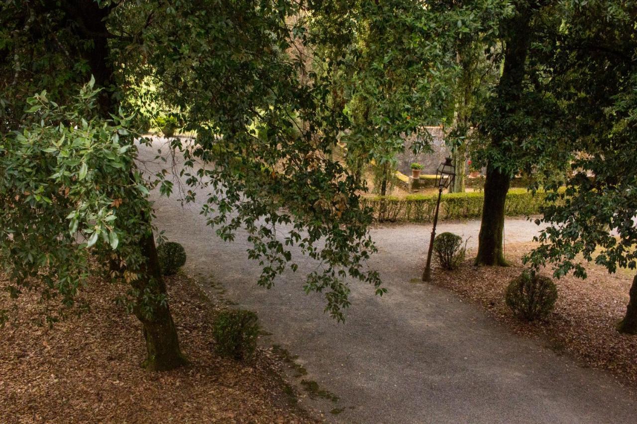 La Finestra Sul Parco Apartment Лука Екстериор снимка